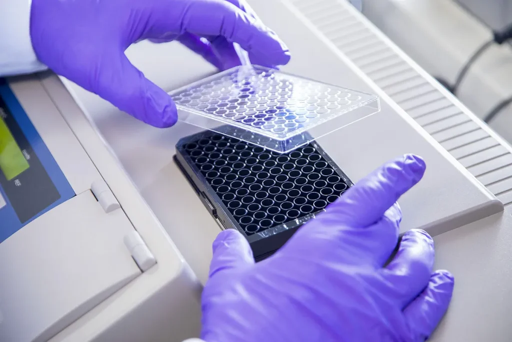 Een persoon die paarse handschoenen draagt, hanteert een plaat met 96 putjes in een laboratoriumomgeving. De gehandschoende handen plaatsen een doorzichtig deksel over de zwarte microplaat, die rust op een wit wetenschappelijk instrument, waarschijnlijk gebruikt voor tests of monsteranalyse. De achtergrond is voorzien van laboratoriumapparatuur.