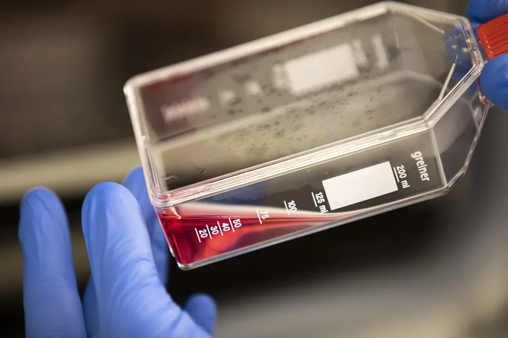 Een gehandschoende hand houdt een transparante rechthoekige container vast met een rode vloeistof, gemarkeerd met afmetingen van 10 tot 200 ml. De container heeft een rode dop en het label 'greiner'. De hand draagt blauwe nitrilhandschoenen en de achtergrond is een wazige laboratoriumomgeving.